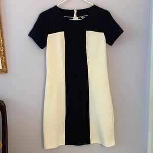 NWT Black and White Women’s Dress